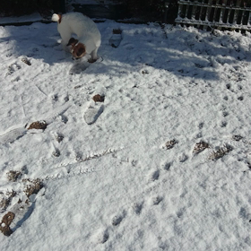 ヤッホー❗の画像