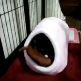 食後の運動の  画像