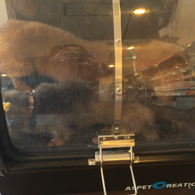 ⬛️3/22〜3/28＊酸素カプセルご利用のお友達⬛️1の画像