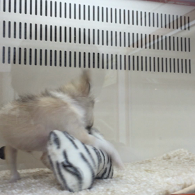 はじめましての画像