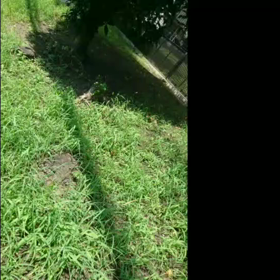 やっとできた～日だまりver.～の画像