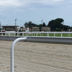 笠松競馬場へ行きました、その１☆の画像