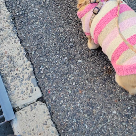 親子共々依存されるの巻きの画像