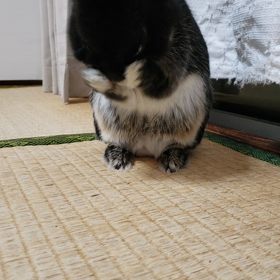 ティモテからのの画像