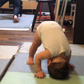 トレーニングをする1才4ヶ月の画像