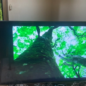 せっかくの功績もの画像