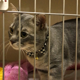 お泊まり♡レオくんの画像