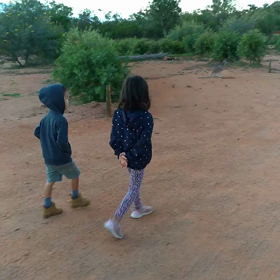 朝の散歩の画像