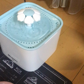 し、失敗？？の画像