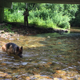 宿泊先変更。トホホホ。 シェリ動画。の画像
