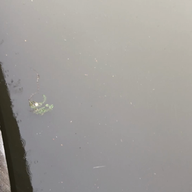 きのうの海老川／動画の画像