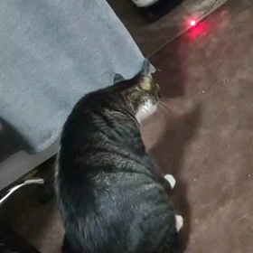 今日は動画の画像