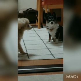 ニュースの件の画像