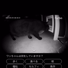 戻ってきた〜！(T-T)の画像