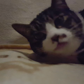 救急病院の画像