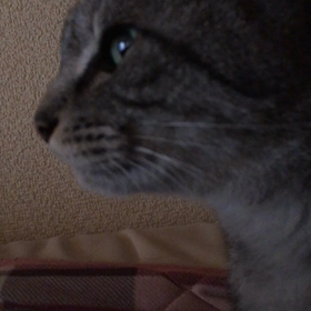 毎度恒例の画像