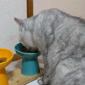 銀次郎のご飯の画像