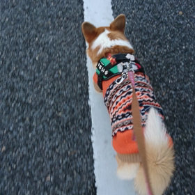 これも特技？(笑)の画像