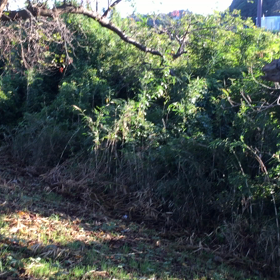 ついてない日曜日！悪い事も良い事もあるのが私の日常の画像