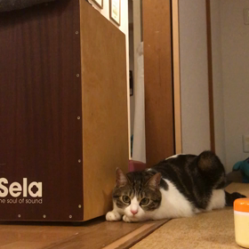 八つ当たりの画像