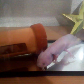 今朝のウパさん☆の画像