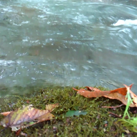 とりあえずの画像