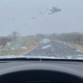 本格的に降って来ました！の画像