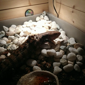 この時期初めてなんだけど…の画像