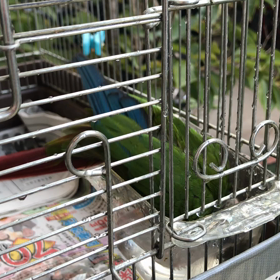 今日はレッスン臨時お休みです♪の画像