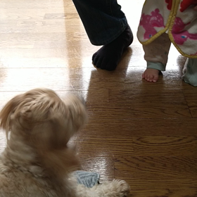 ココちゃんヤキモチを焼く？の画像