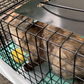 ごめんね(；ω；)の画像