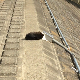 食費が初めて3万切った…の画像