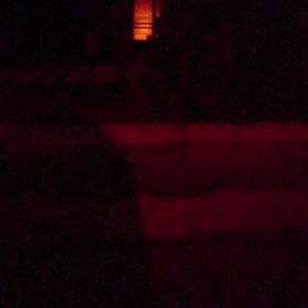 出来事編No.223     クツワムシの画像