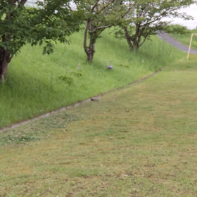 おこしやすの画像