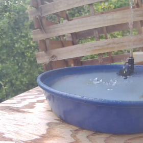 すぎぴたんの事件簿シーズン3　371話（ドリンクバー＆シャワースパにメジロ来店）の画像