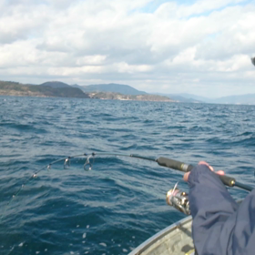 ラストブリ？その３の画像