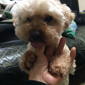 今日はコラーゲンの日の画像