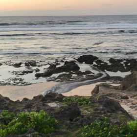 スーサイド波情報❗️《10/9》の画像