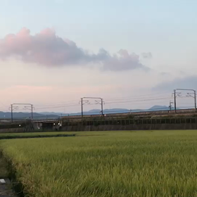 幸せの･･･の画像