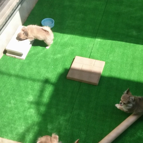 庭完成！の画像