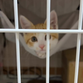 今日も全力の一日！の画像