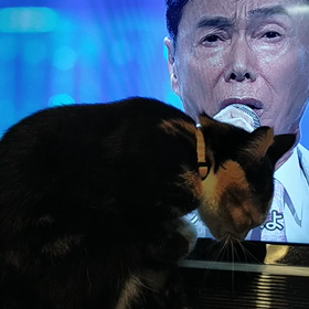 森進一さんとモコちゃんの画像