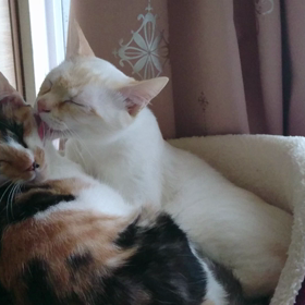 出会って４ヶ月の画像