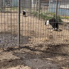 初めての環境の画像