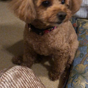 すっきり〜笑笑の画像