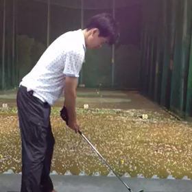 我肥ゆる桜の季節の画像