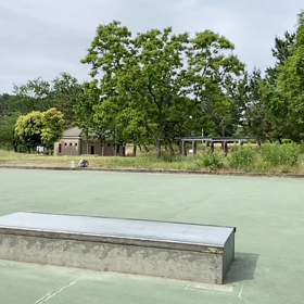 今朝のスケート風景の画像