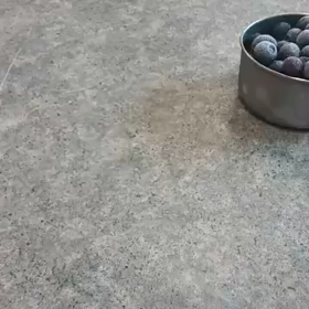 Stop motion projectの画像