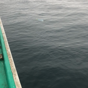 紋別遊漁船 いざなみと！DIYと！！！の画像