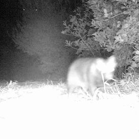 すぎぴたんの事件簿シーズン２　４５話の画像